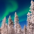 Séjour hivernal en Laponie finlandaise
