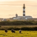 La Bretagne, belle et sauvage